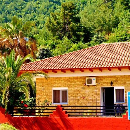 George Studios Skala Potamia  Luaran gambar